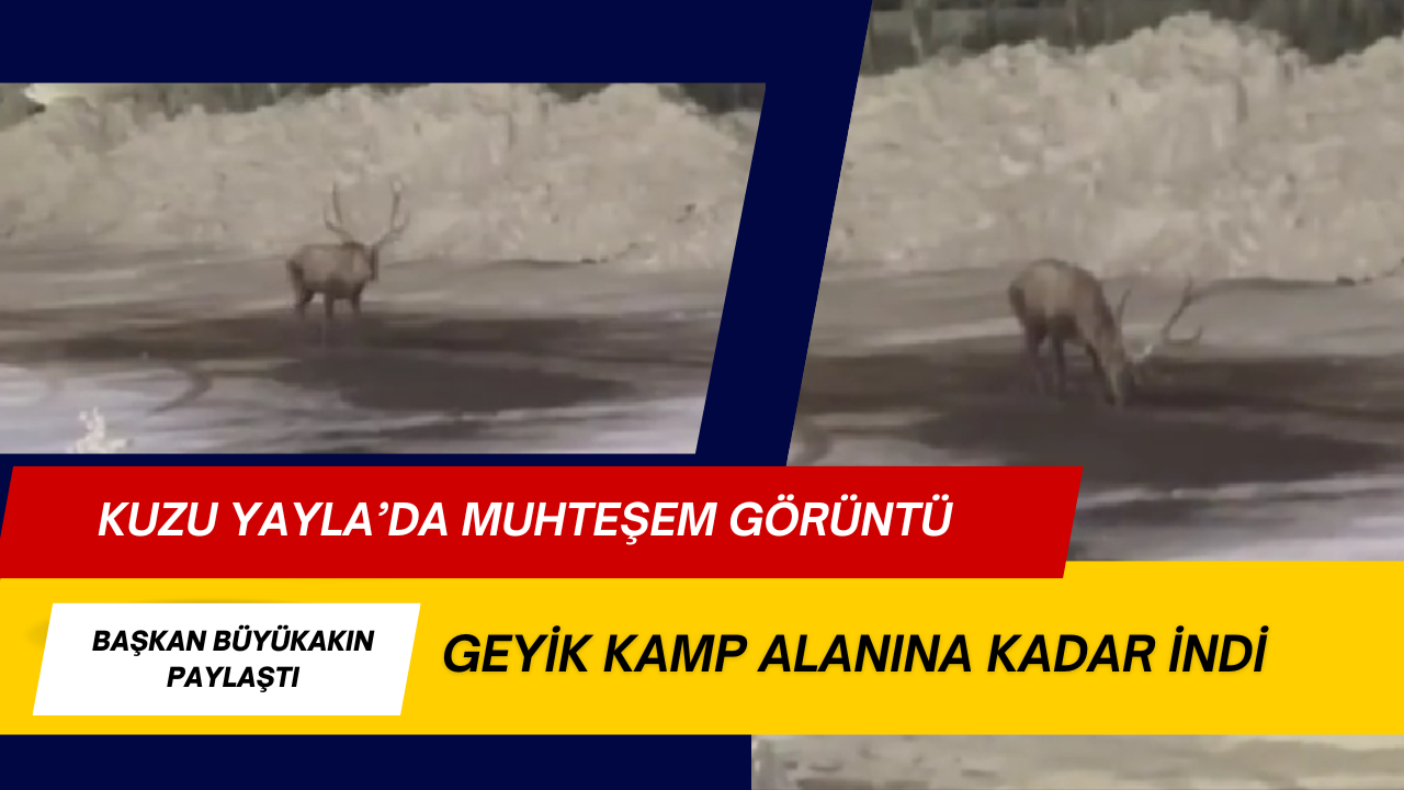 Kuzuyayla Da Muhteşem Görüntü