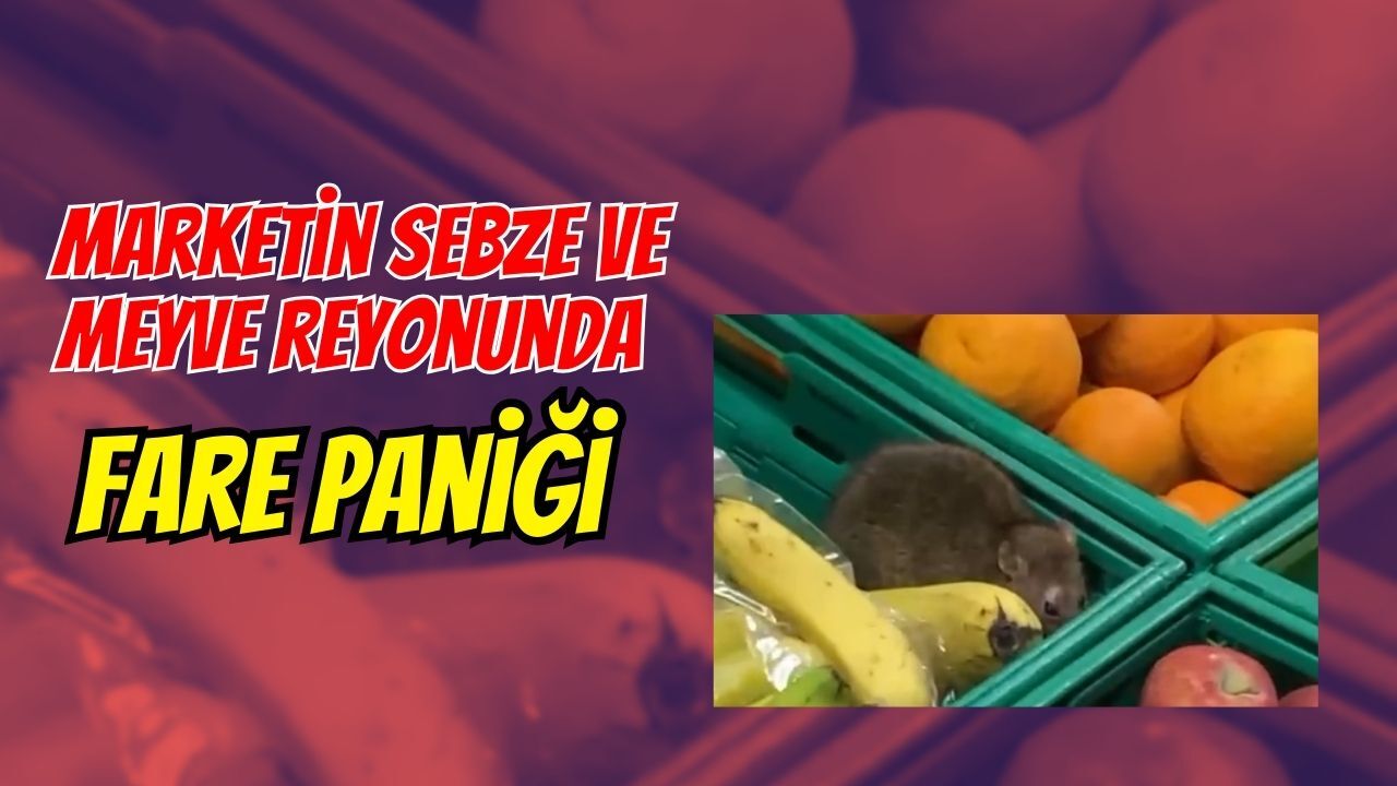 Market Sebze Meyve Reyonu Fare Goruntusu.jpg