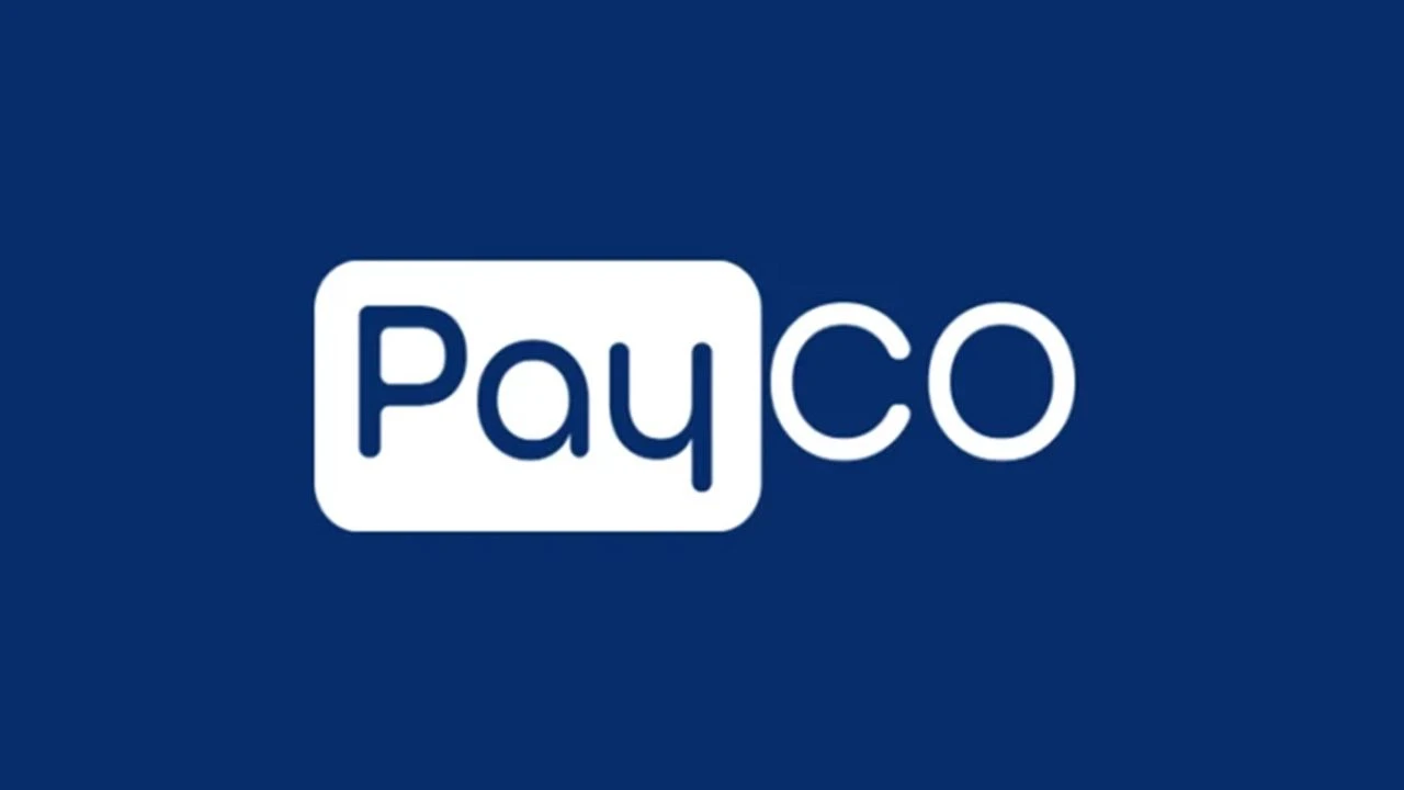Payco Elektronik Para Operasyon