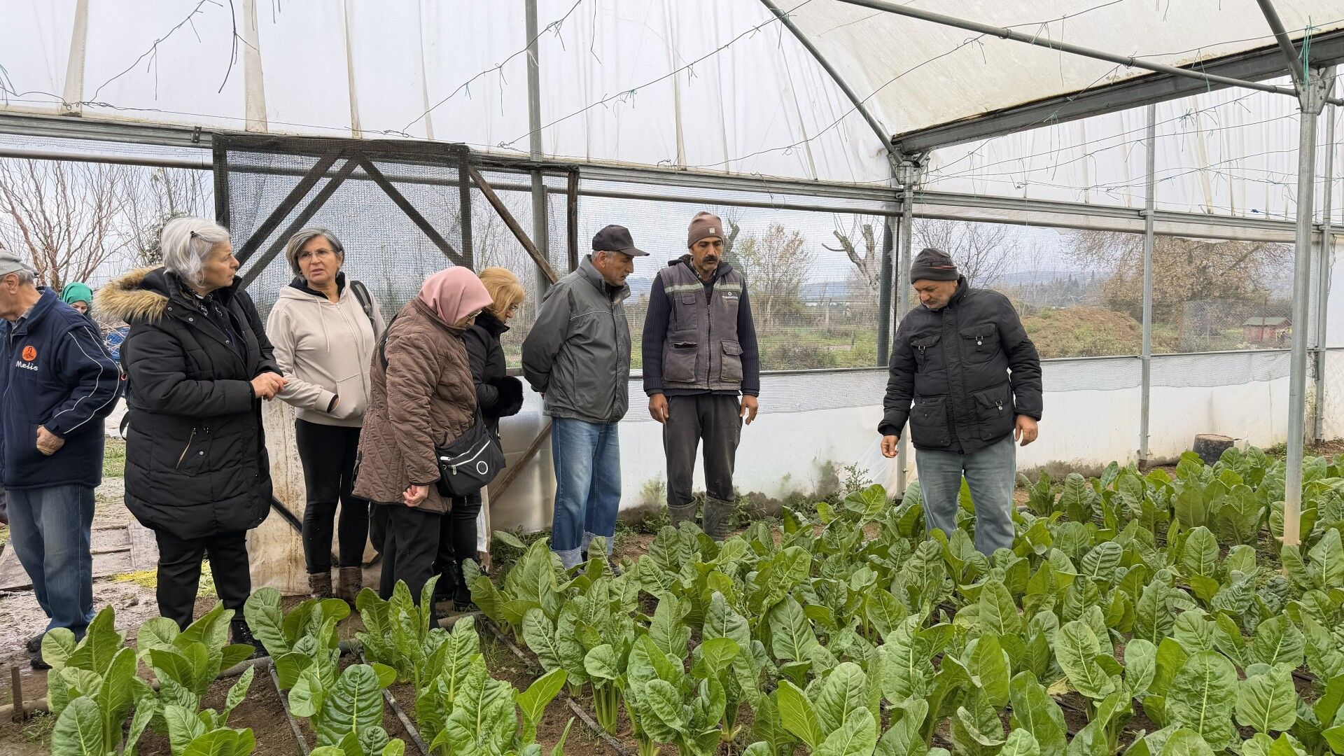 Kocaeli’de 65 yaş üstü üretime katıldı: Saygınlar Kulübü’nden örnek hasat etkinliği-kocaelitv-1