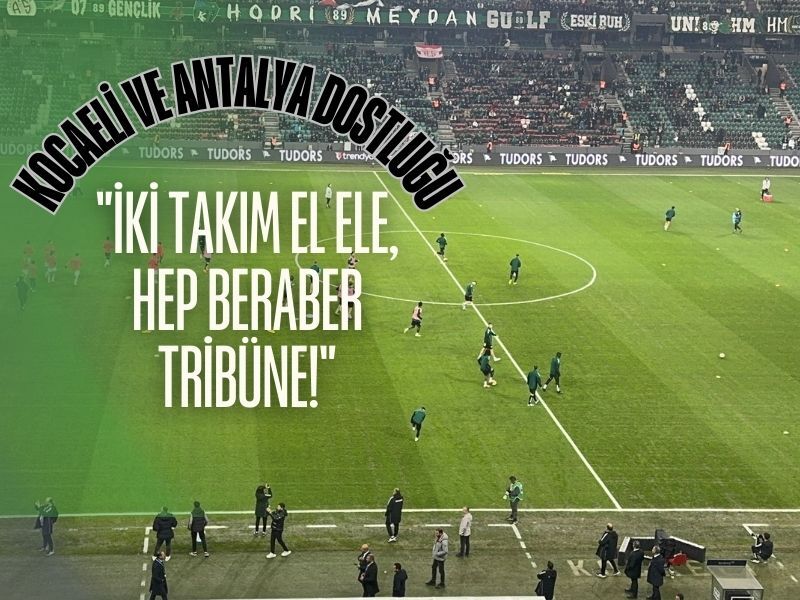 Taha Şablonlar-5