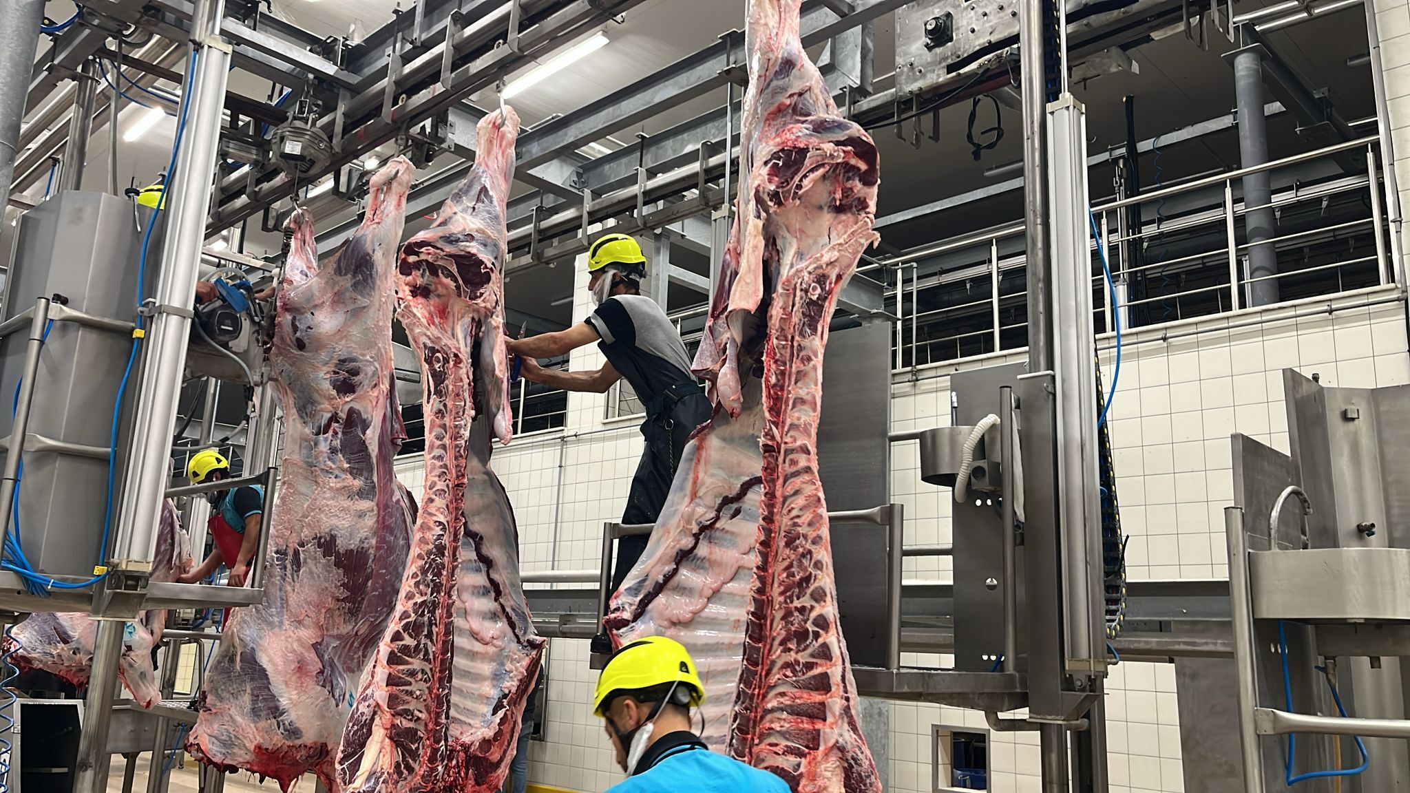 Büyükşehir Mezbahası'nda 6 Bin 29 Kesim Yapıldı (4)