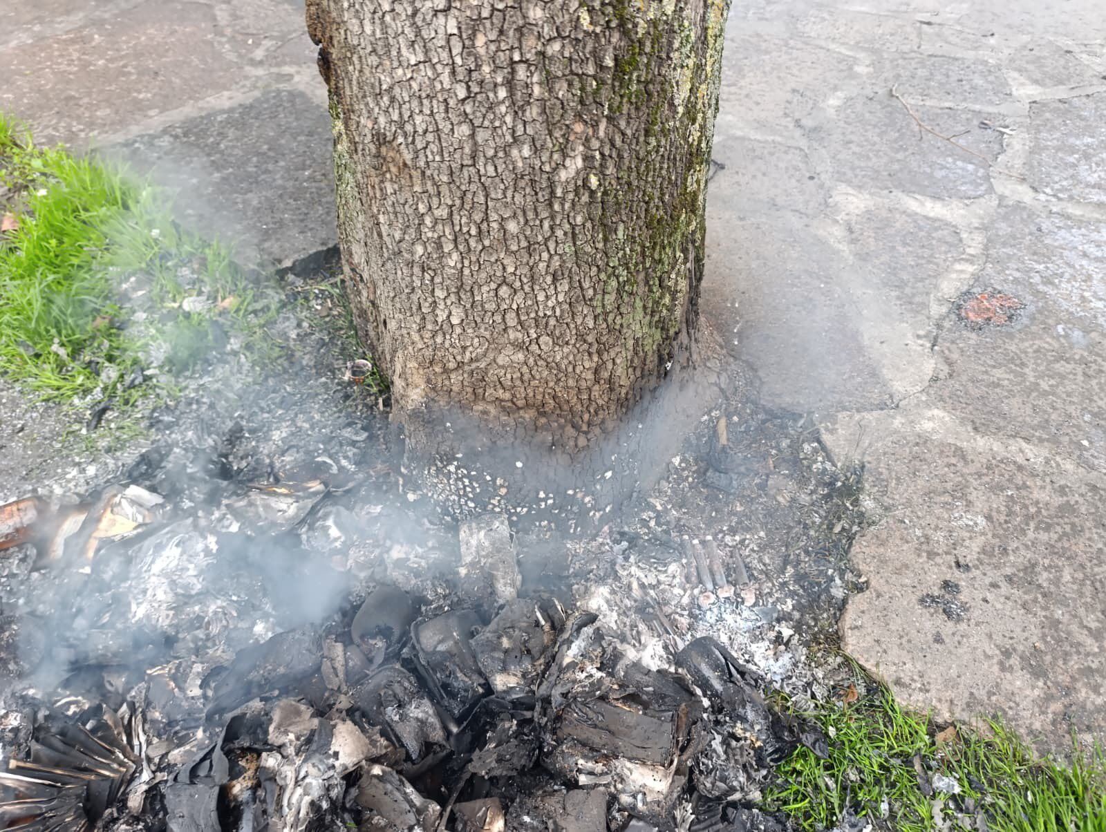 İzmit Kuş Cenneti’nde Olası Yangın Zabıta Tarafından Önledi 3