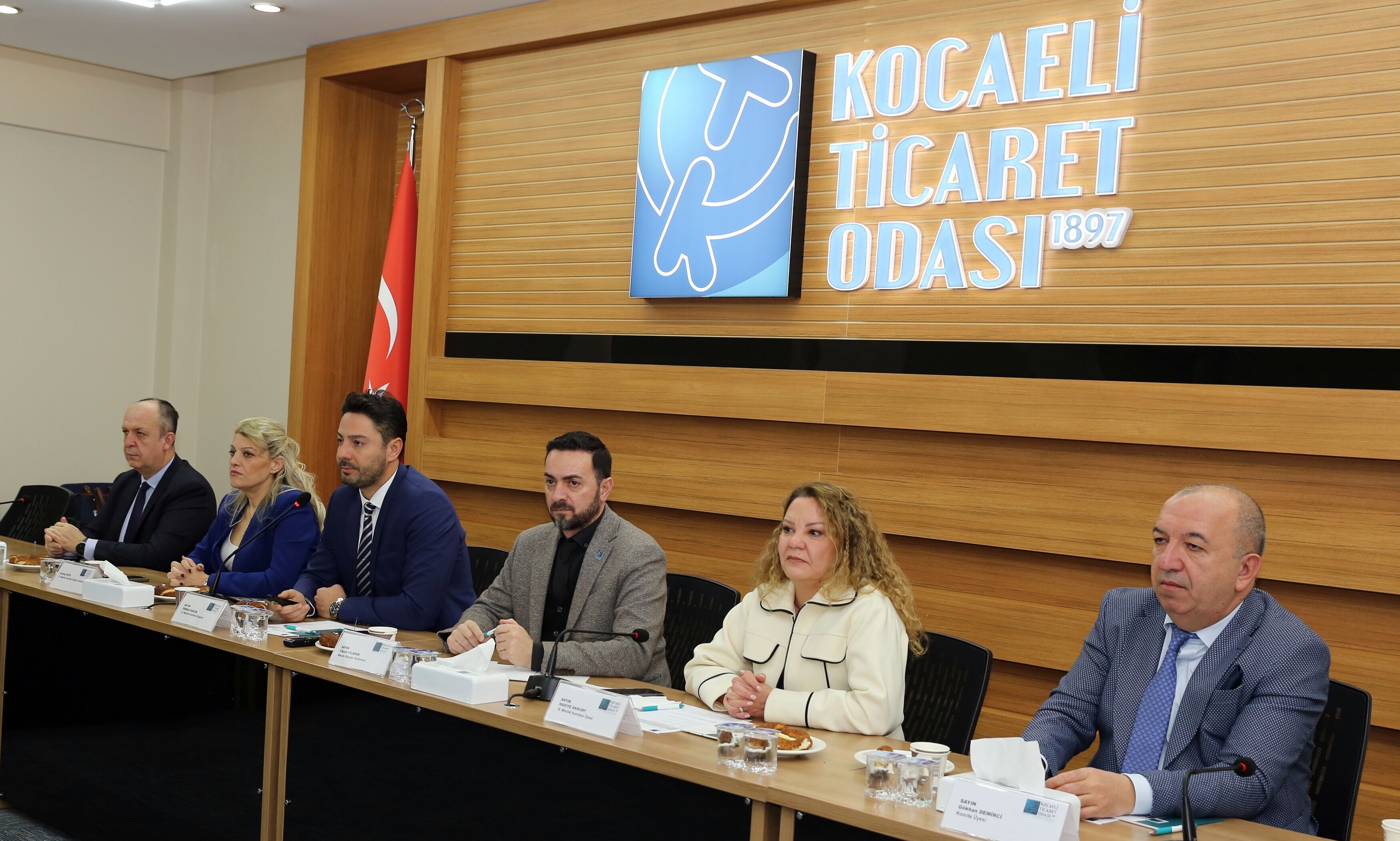 Danişmanlik Sektörü (1)