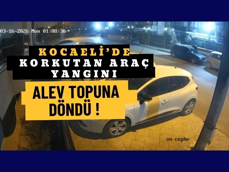 Araç Yangini 2