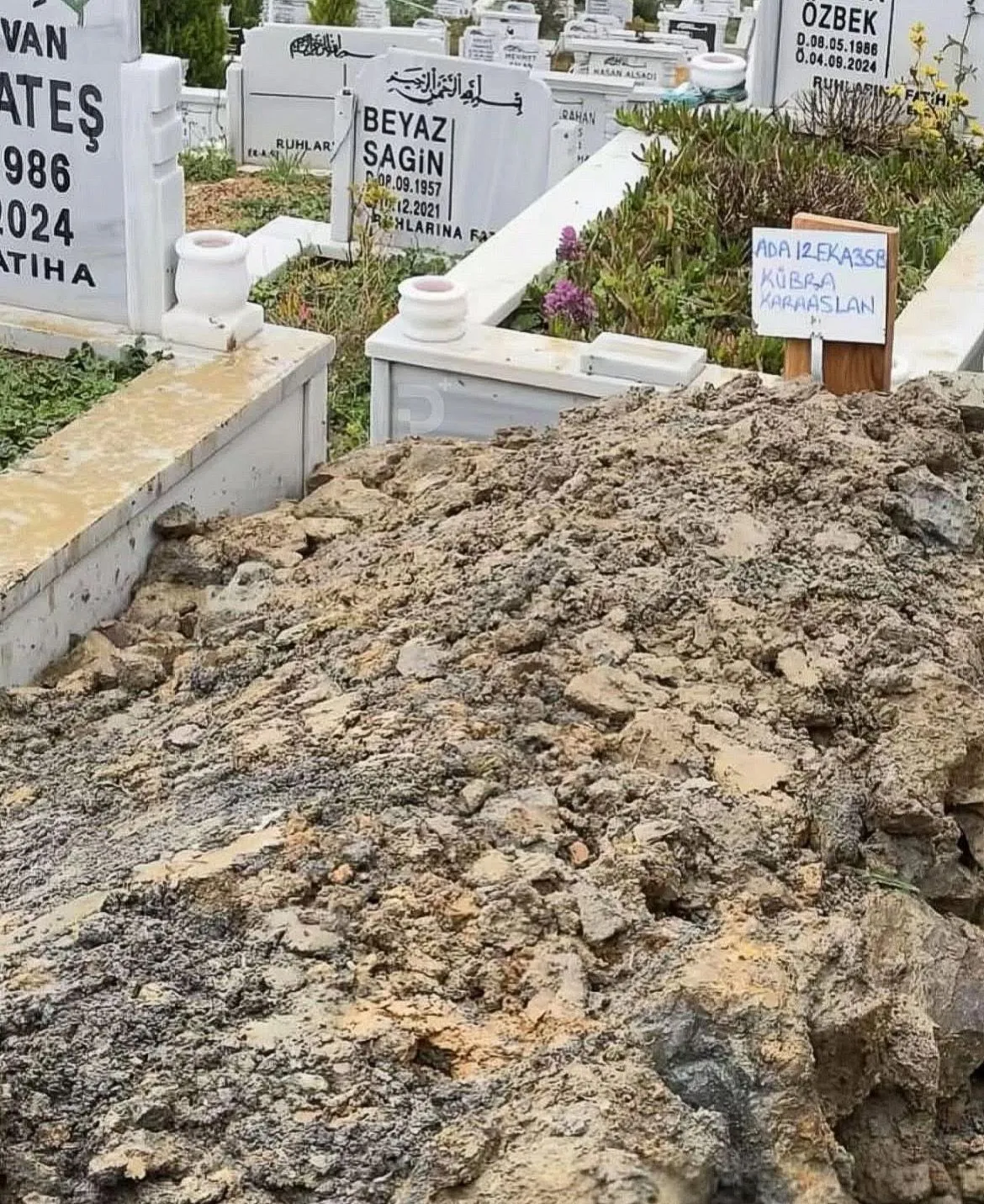 Genc Sosyal Medya Fenomeninden Aci Haber Canina Kiydi Iddiasi
