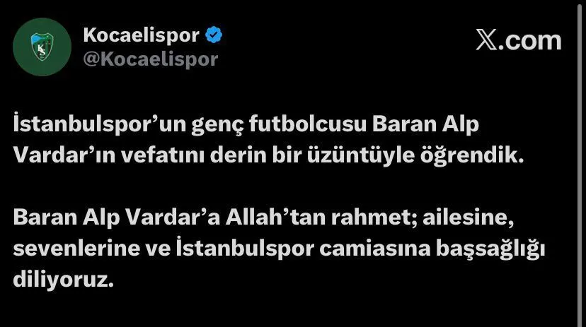 Kocaelispordan Baran Alp Vardar