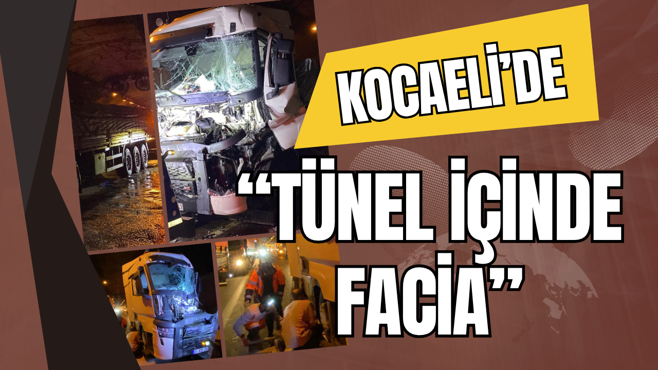 Temkocaelikaza