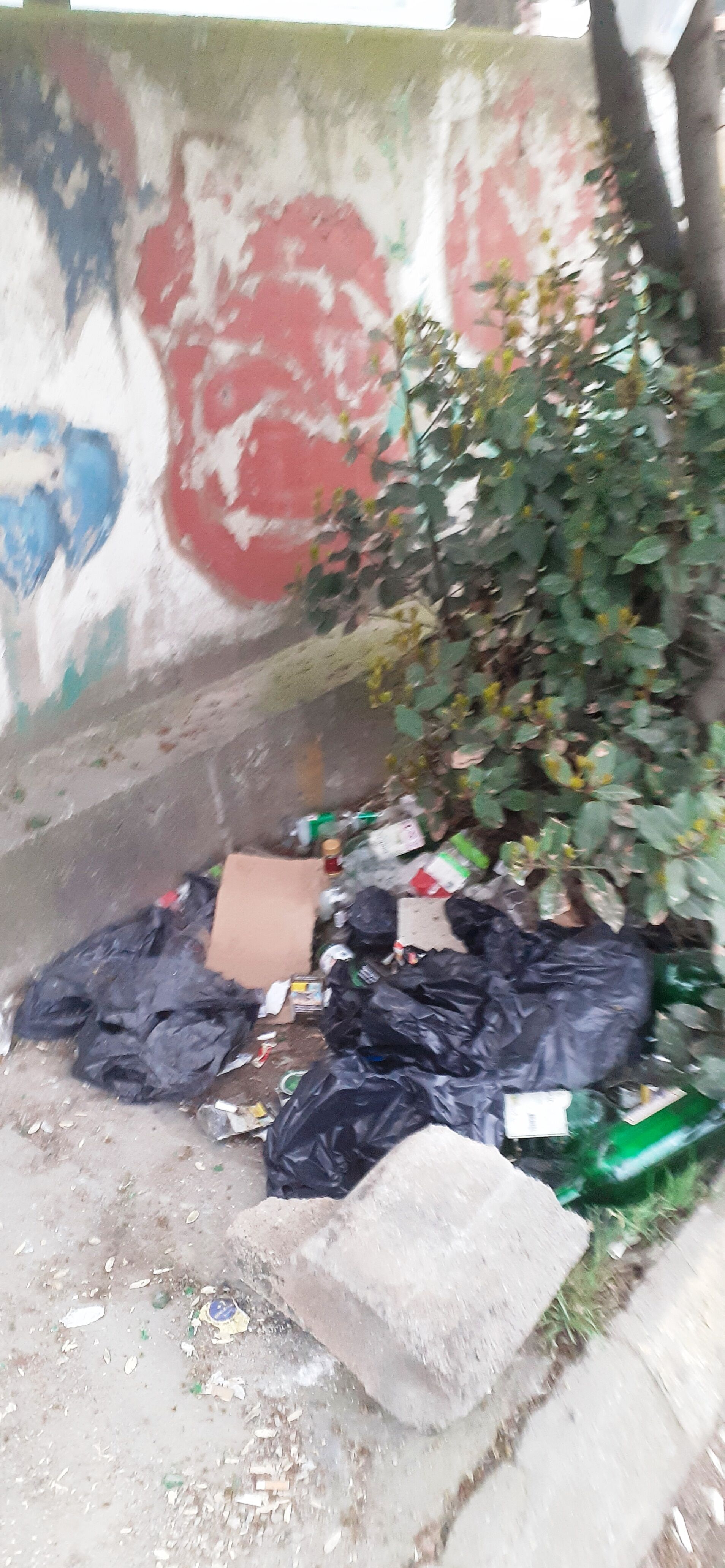 Derince'nin Göbeğinde Rezalet: Okul Yolunda, Cami Dibinde Şişeler... - Kocaeli Haber, Kocaelispor | Kocaeli TV