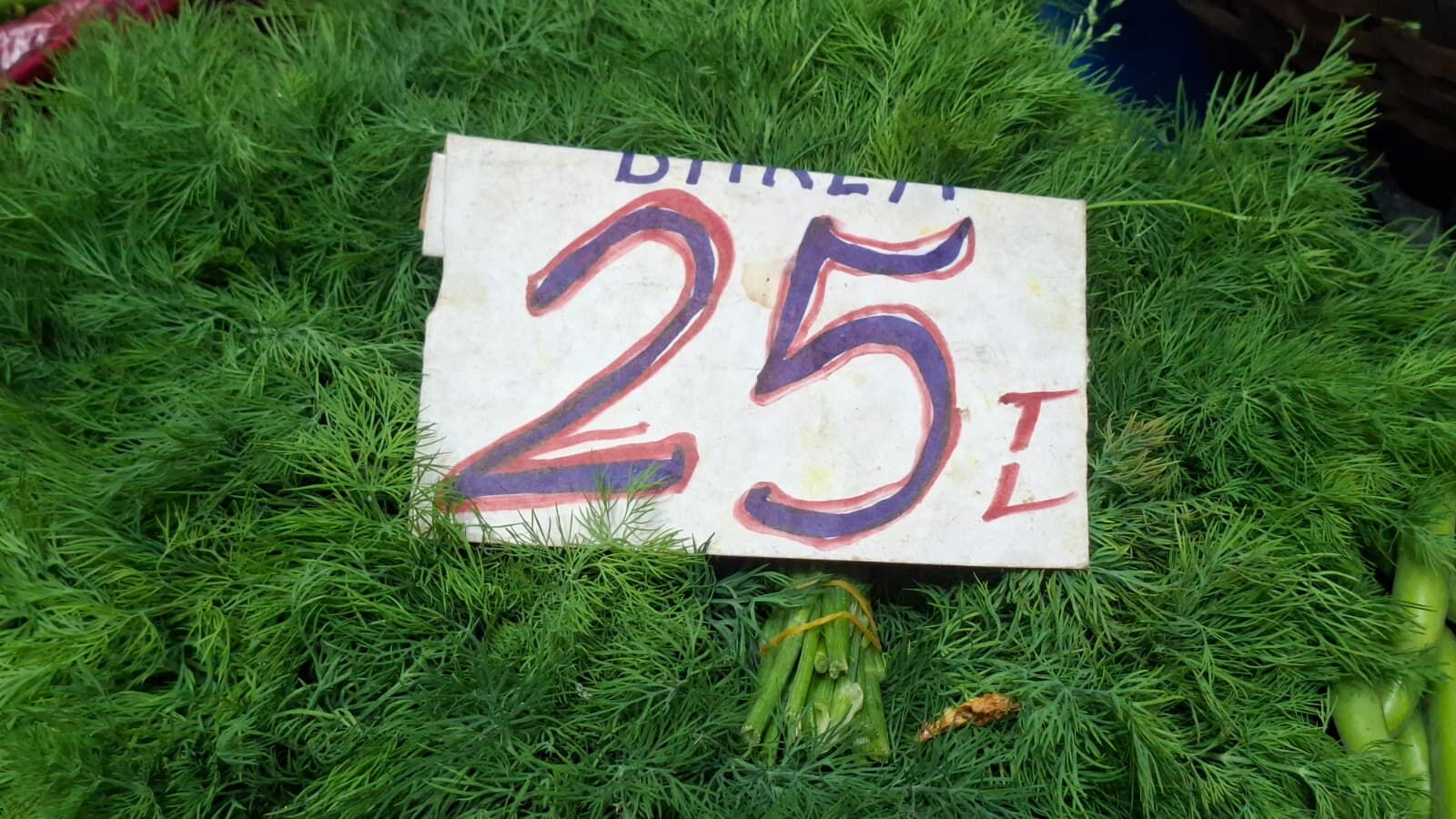 8-28