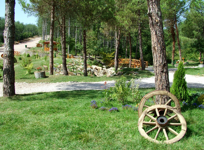 Ekran Görüntüsü 2026 05 20 134705