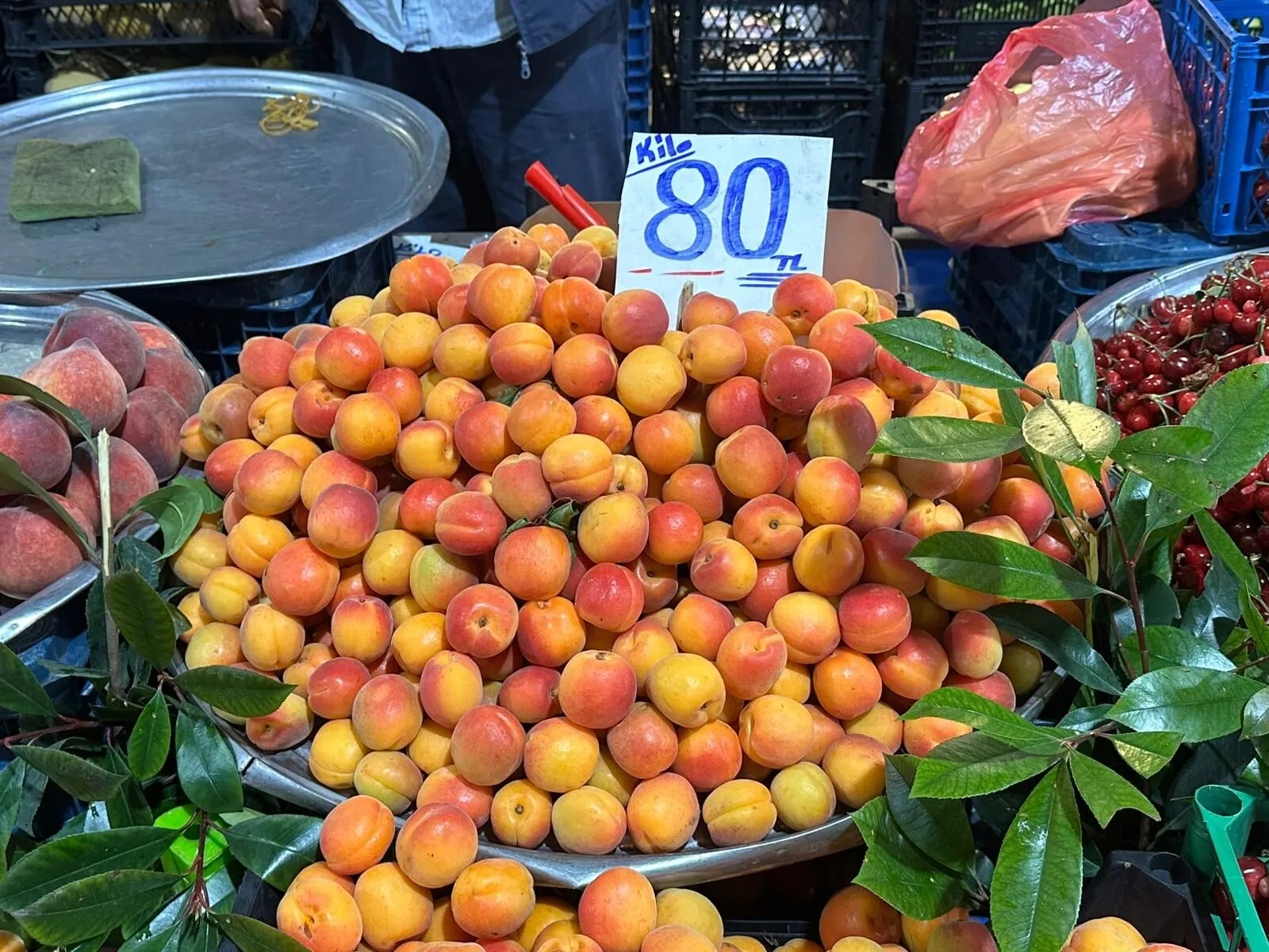 Kayisi