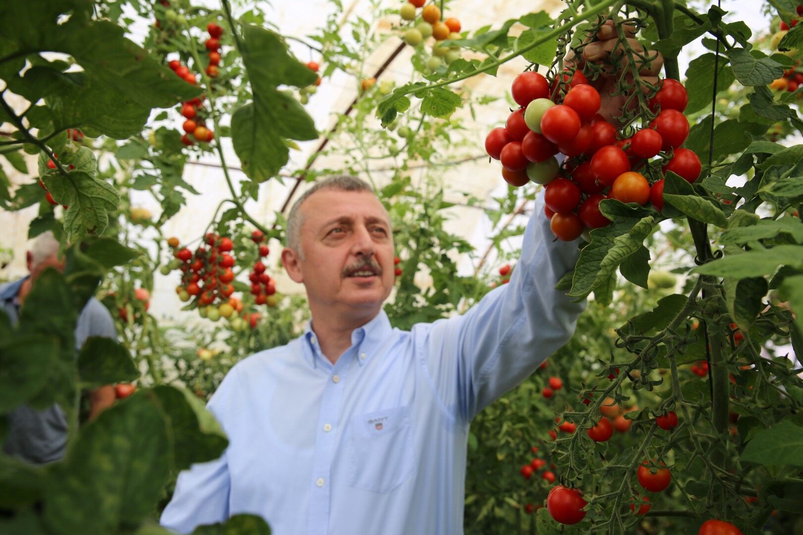 Kocaeli’de Seracılık, Büyükşehir’le Yaygınlaşıyor (6)