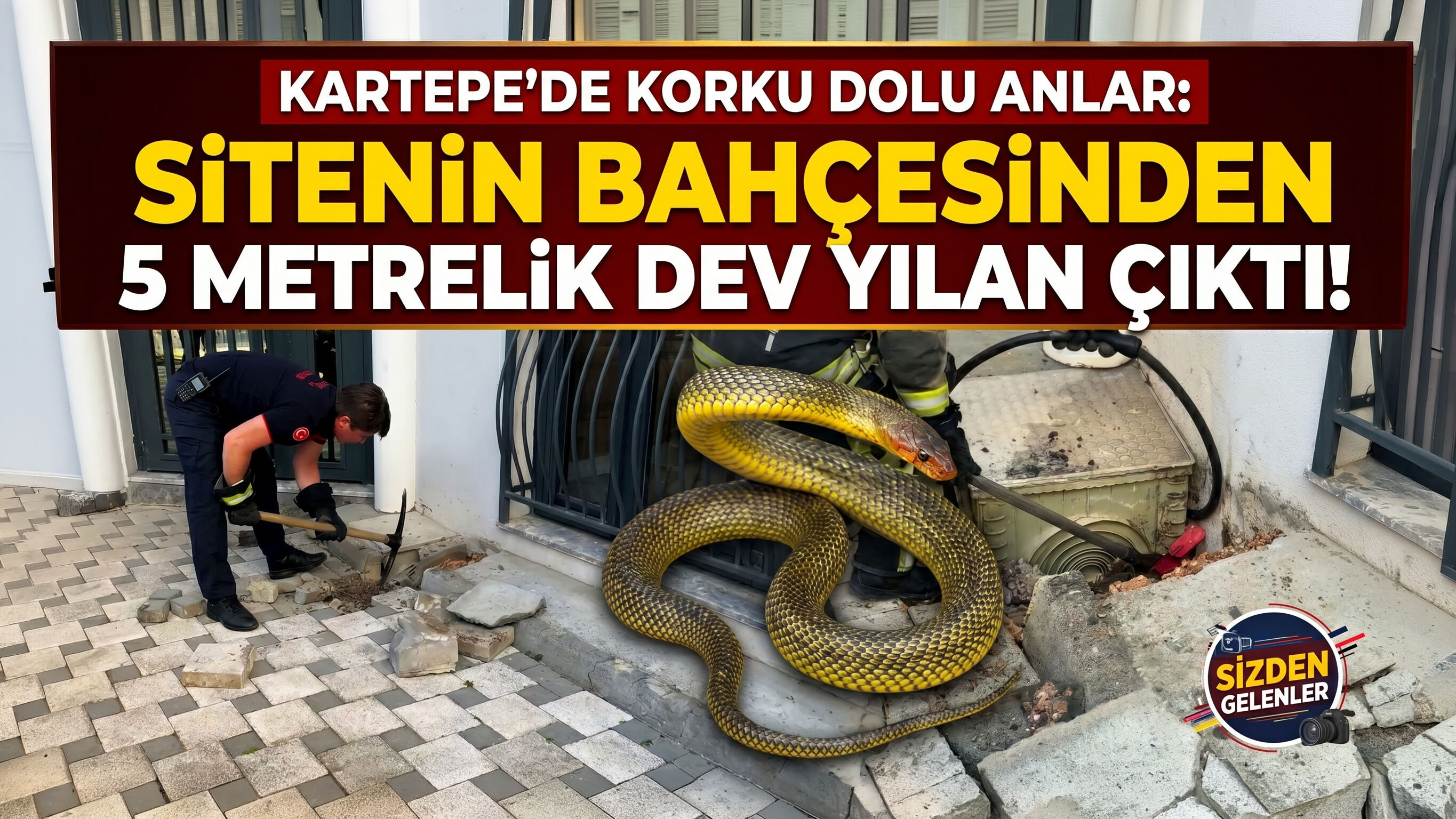 Kartepe’de Korku Dolu Anlar Sitenin Bahçesinden 5 Metrelik Dev Yılan Çıktı!-1