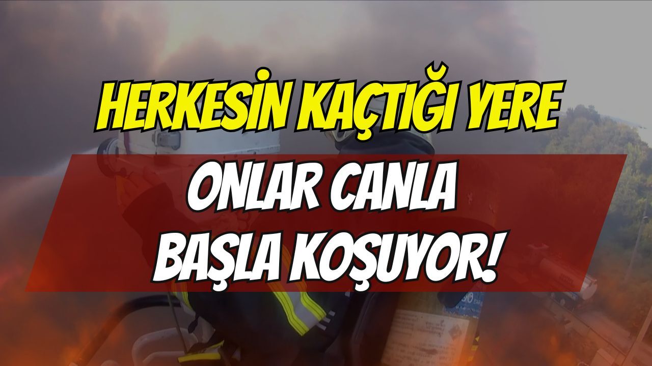 Kocaelihaber Kocaelitv-300