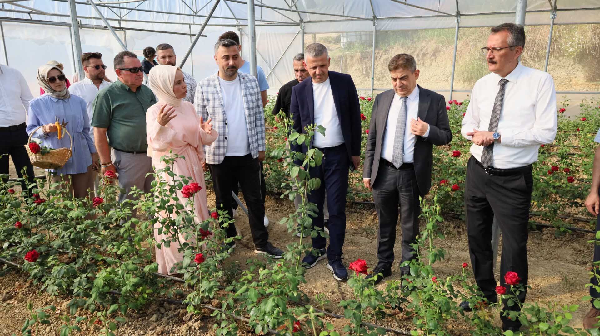 Kocaeli’nin Ilk Gül Serası Kadın Elinden (5)