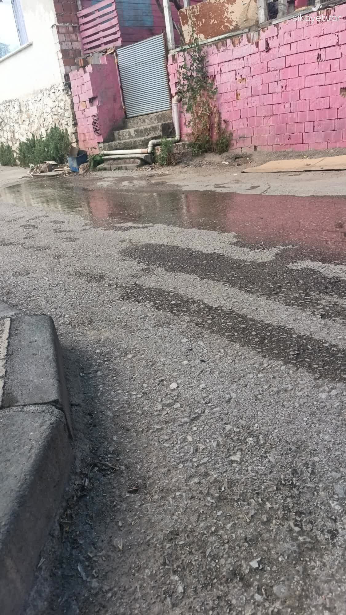 Kumlu Sokakta Kanalizasyon Tasmasi Sagligi Tehdit Ediyor 1