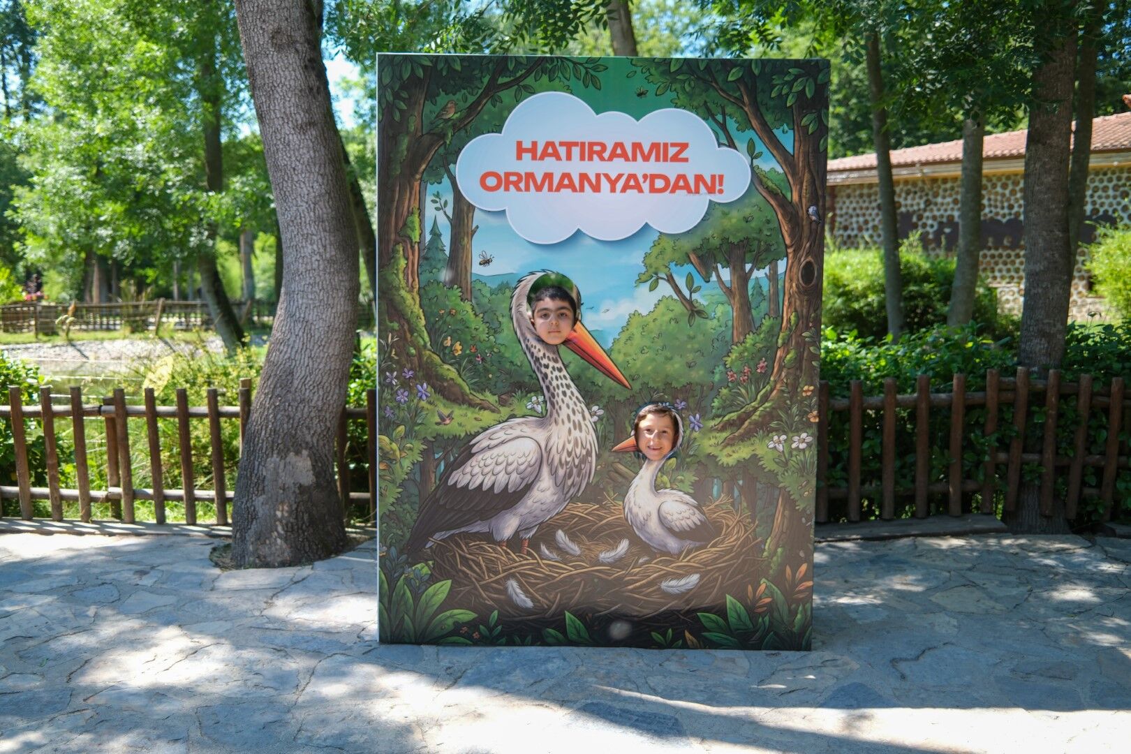 Ormanya’da Yavru Leylek Atlas’a Sürpriz Kutlama (5) (Büyük) (1)