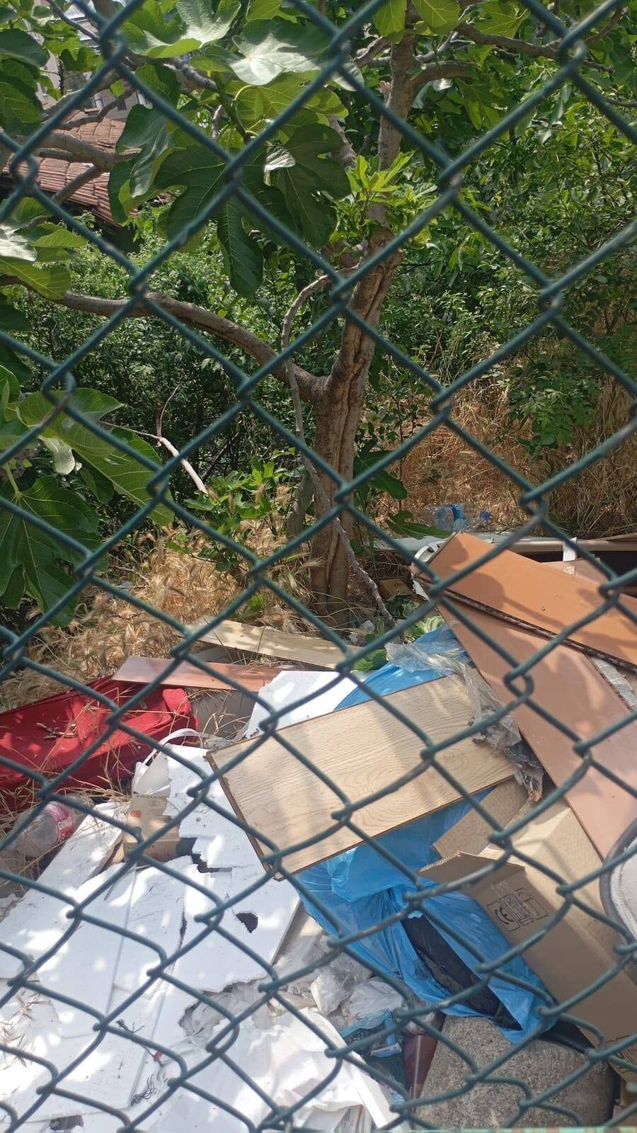 Whatsapp Image 2026 06 14 At 5.24.01 Pm (2)-1