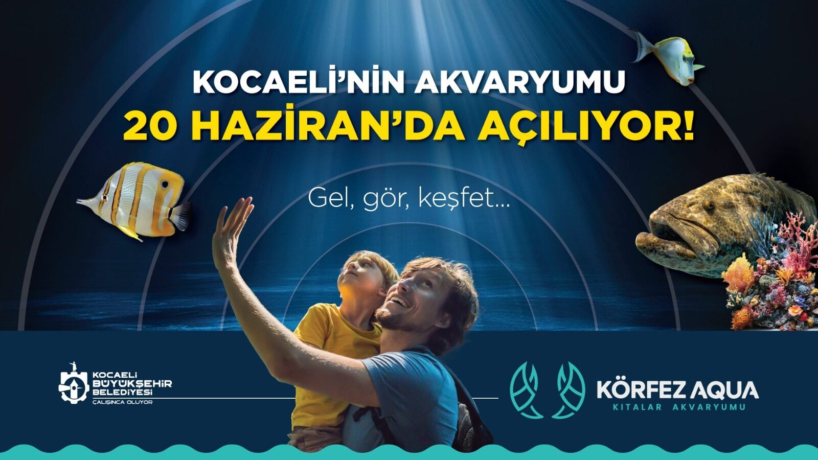 Whatsapp Image 2026 06 17 At 20.04.02 (1)