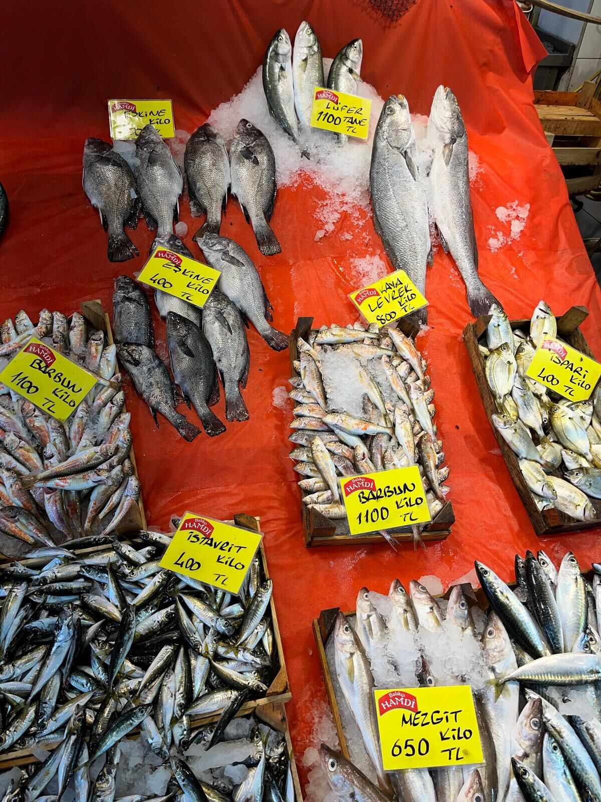 Whatsapp Image 2026 06 30 At 11.26.57 (1)