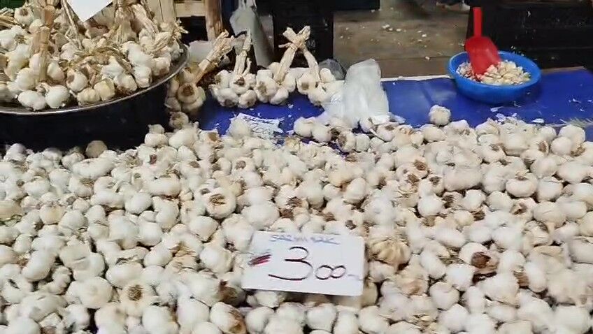 Whatsapp Video 2026 06 18 At 14.18.56 (1) Frame At 0M3S