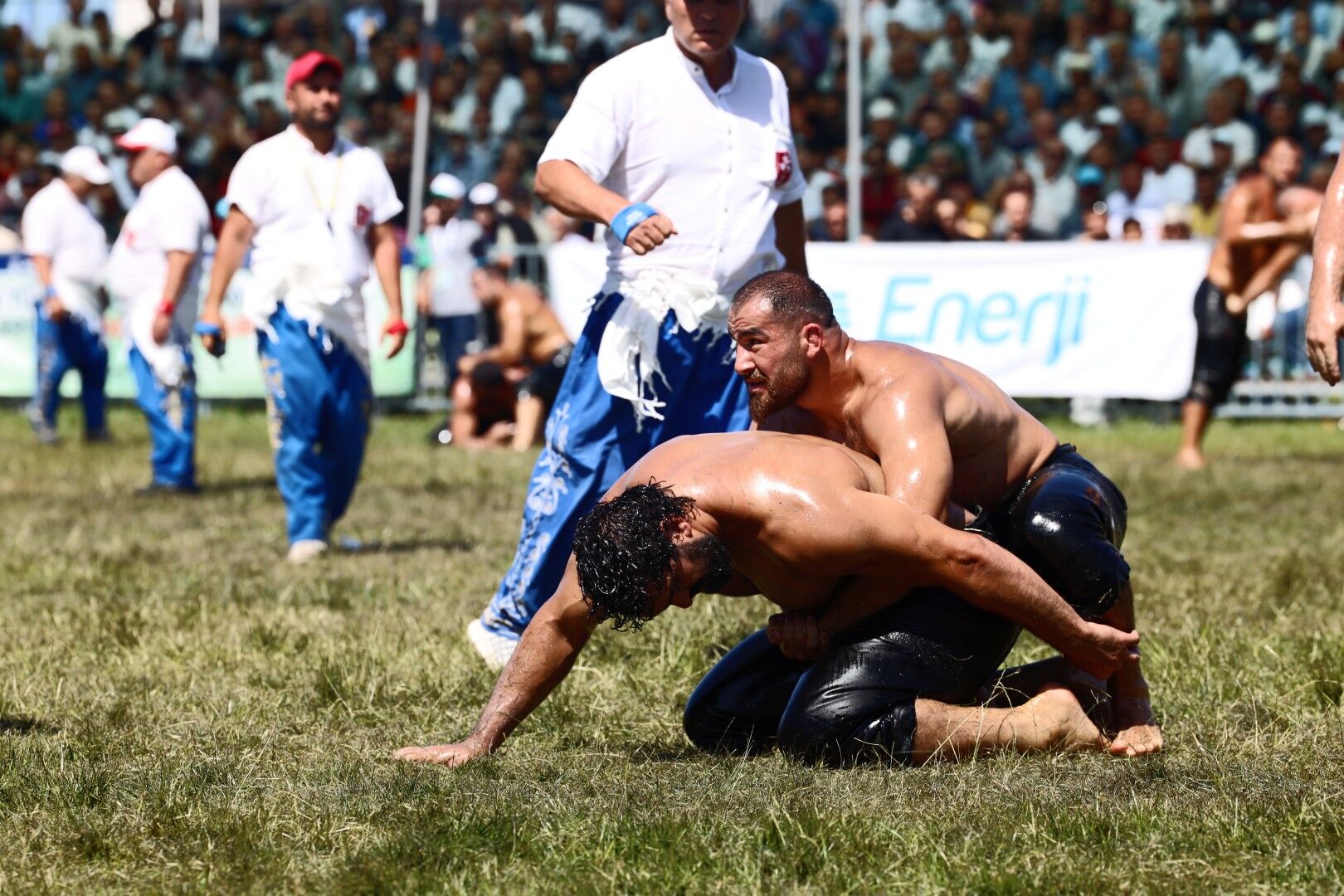 Yağlı Güreşin Kalbi Kocaeli’de Atacak (4)