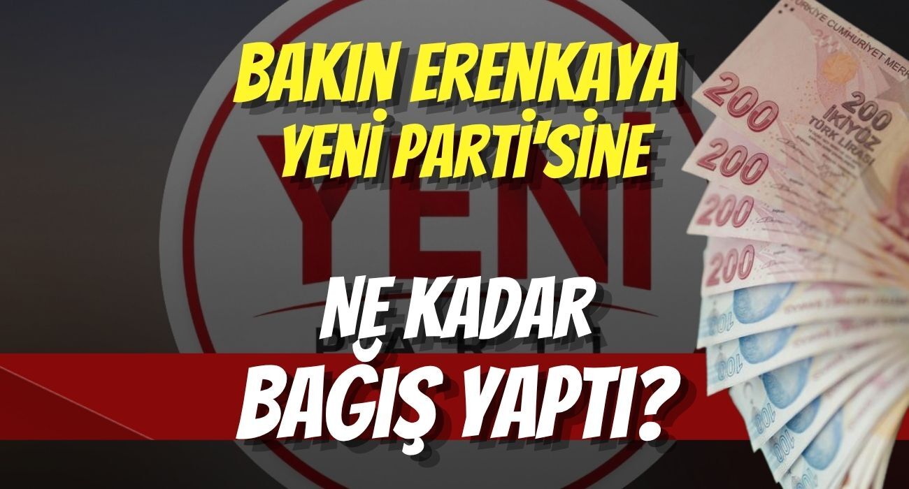 Bakın Erenkaya Yeni Parti'sine Ne Kadar Bağış Yaptı?