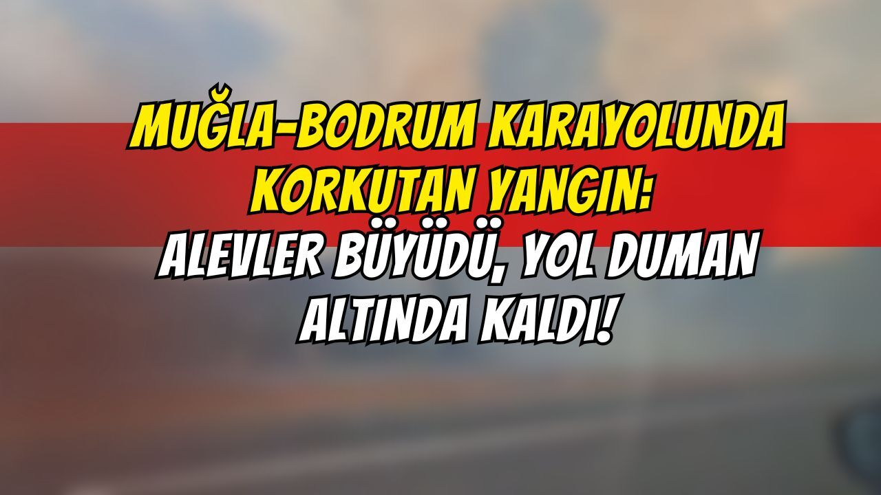 Muğla-Bodrum Karayolunda Korkutan Yangın: Alevler Büyüdü, Yol Duman Altında Kaldı!