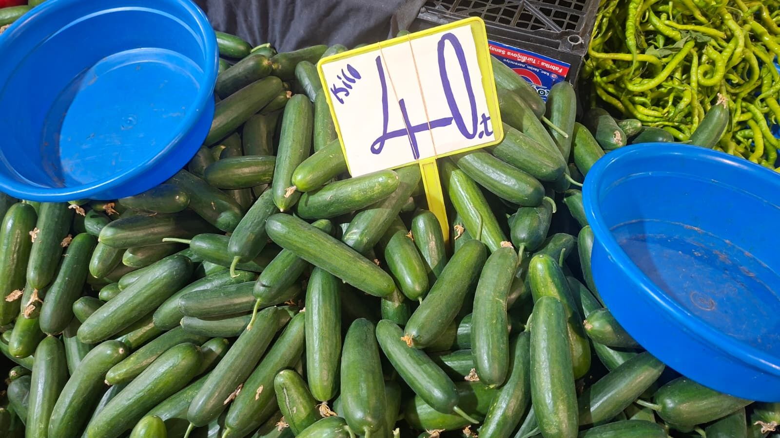 Whatsapp Image 2026 07 09 At 09.46.51 (4)
