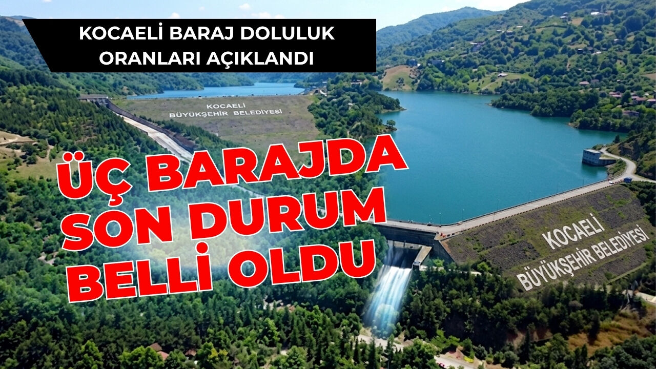 Kocaeli’nin su kaynaklarında alarm veren tablo
