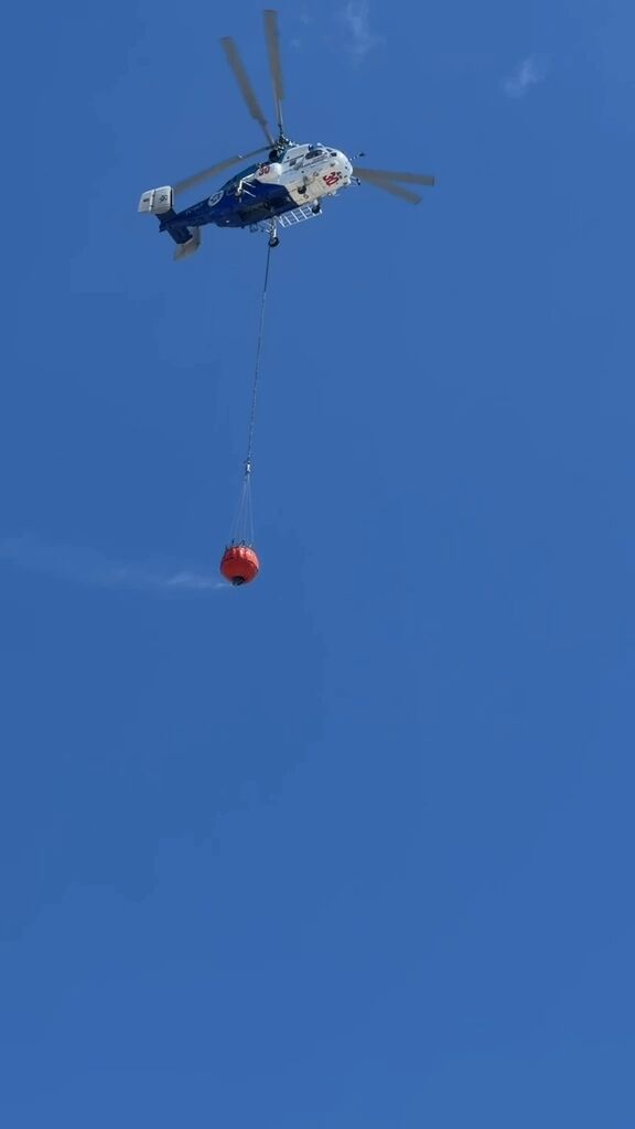 V I D 20260815 W A0078