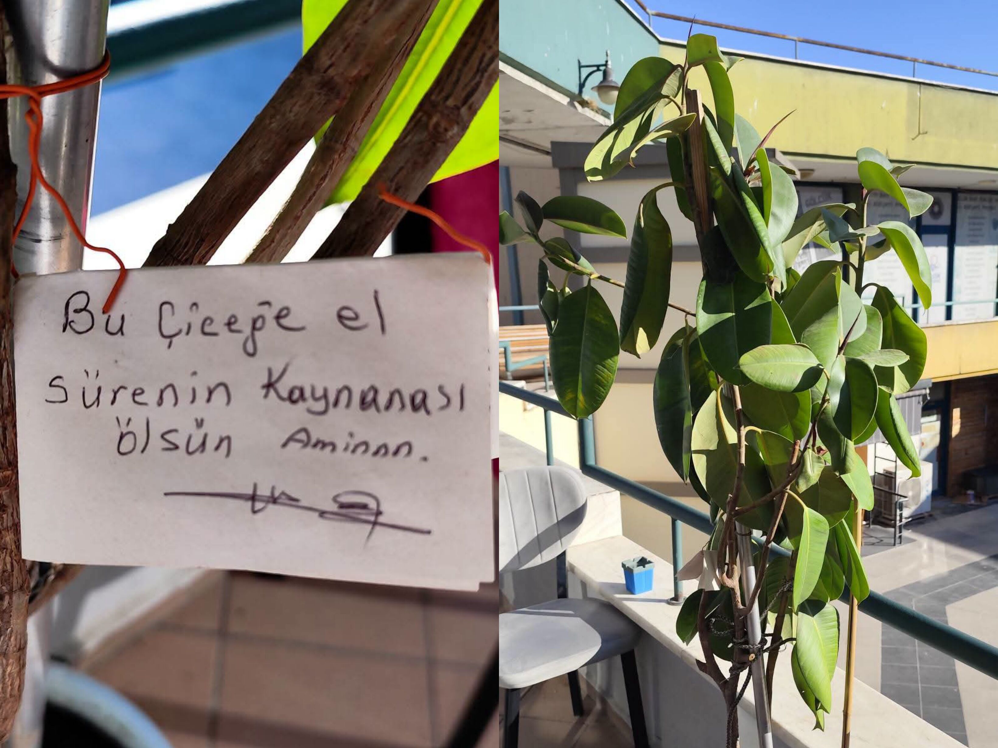 Gölcük’te Kaynanasını Seven (!) Bu Kahveye Geliyor