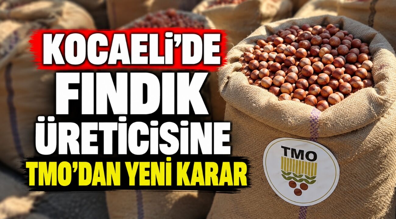 Kocaeli’de Fındık Üreticisine TMO’dan Yeni Karar