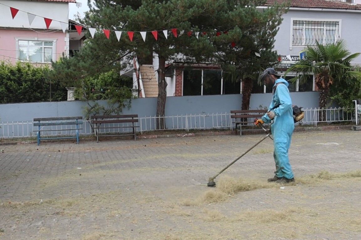 kartepe okul