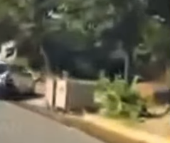 gebze motor kazası