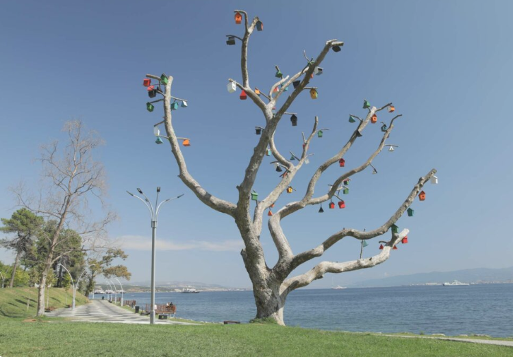 darıca 7