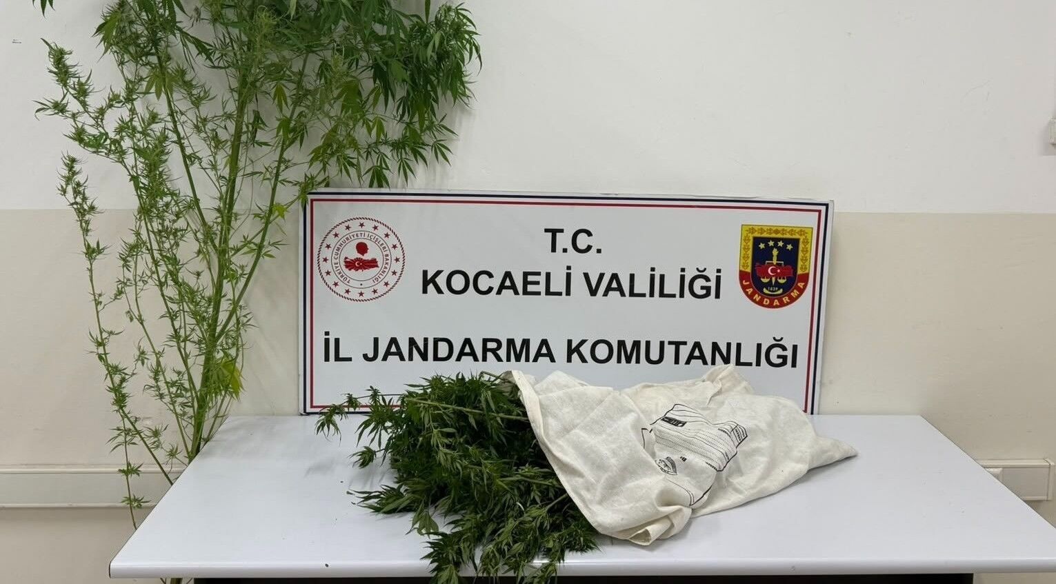 Kartepe’de Uyuşturucu Operasyonu: Şüpheli Tutuklandı