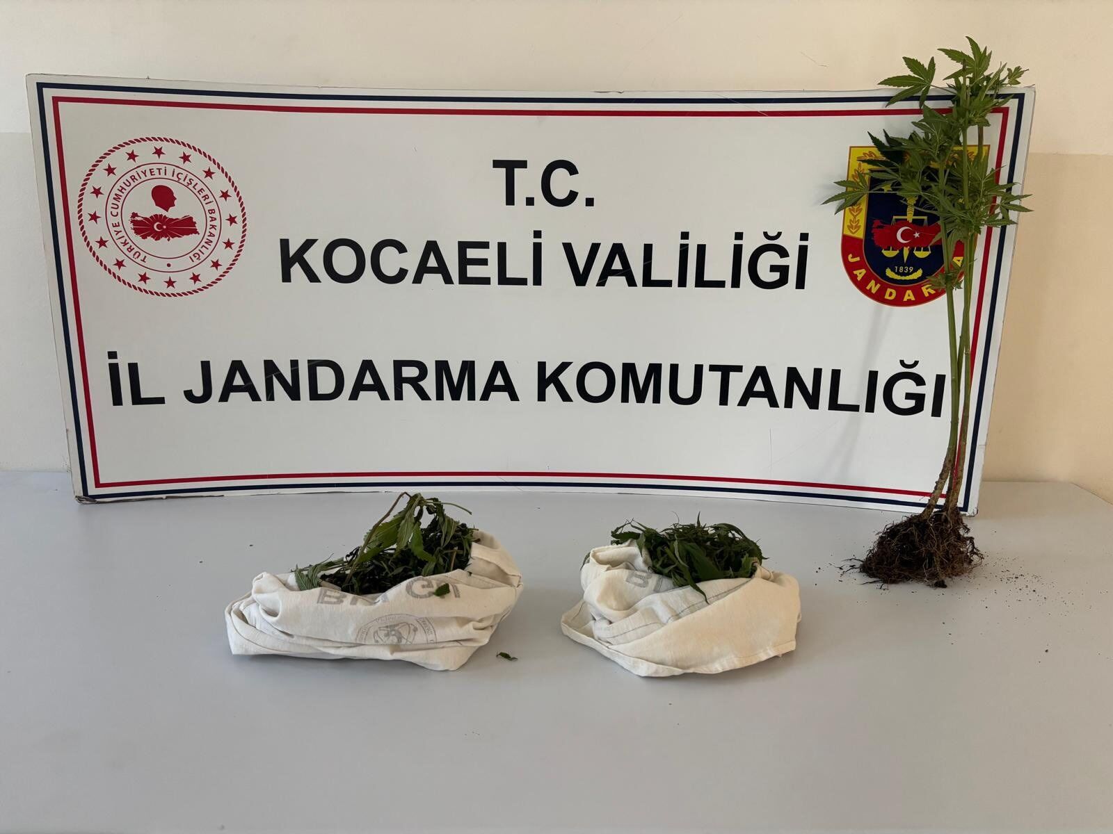 Fotoğraf.1
