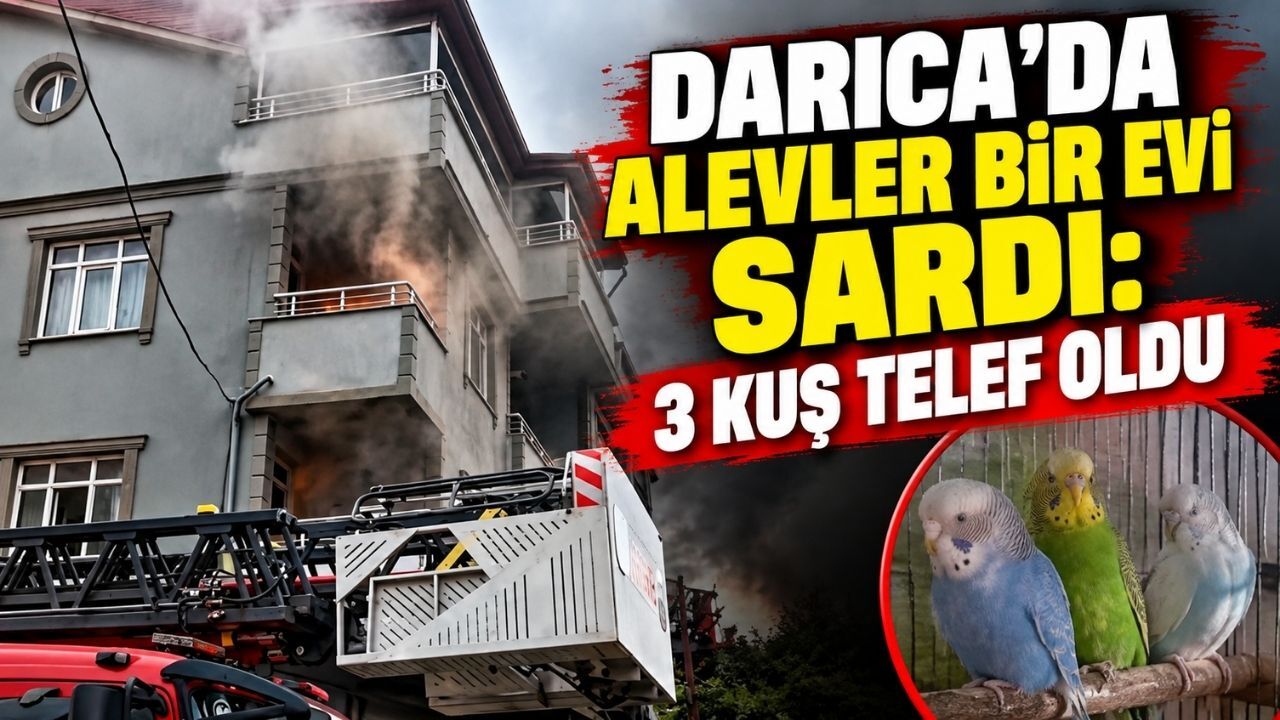 Darıca’da alevler bir evi sardı: 3 kuş telef oldu