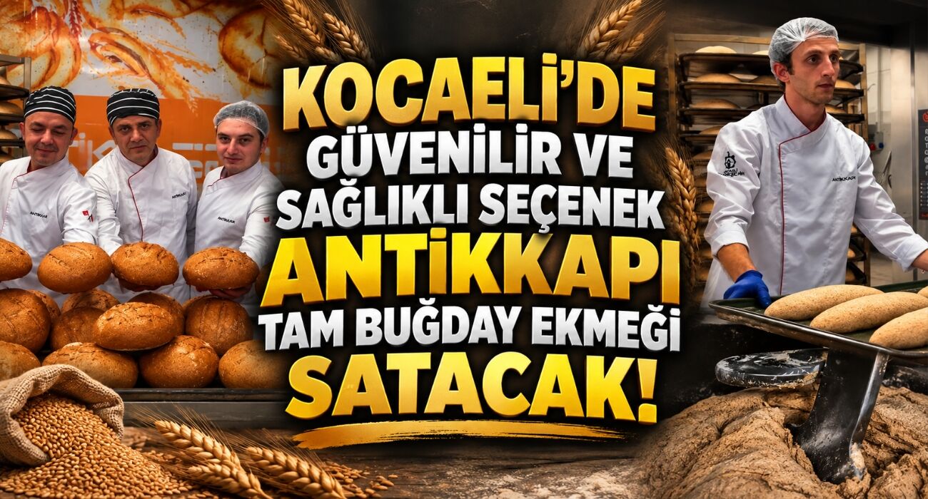 Kocaeli’de Güvenilir ve Sağlıklı Seçenek: Antikkapı Tam Buğday Ekmeği Satacak