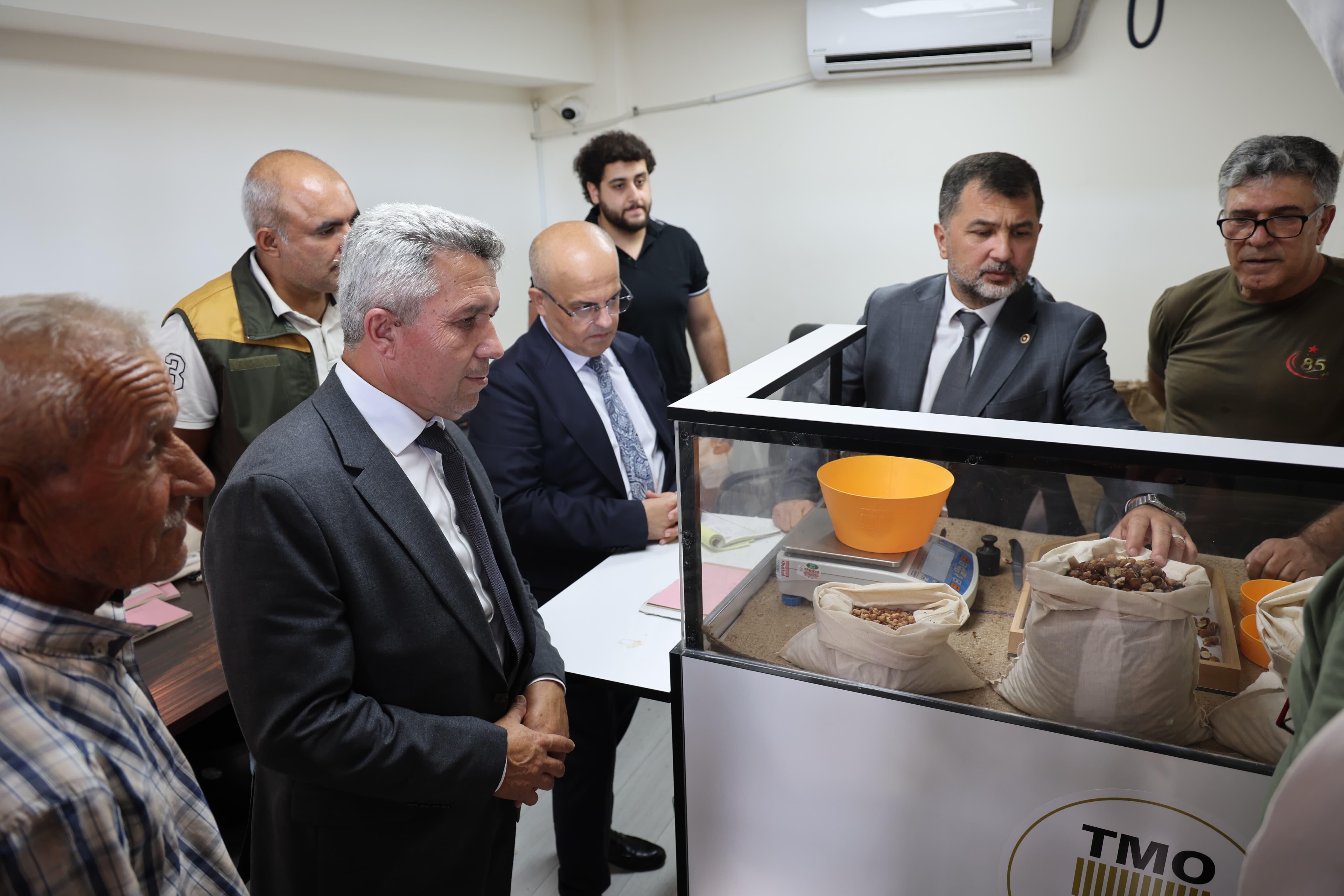 Düzce Vekili Öztürk Kandıra Fındığını TMO’da Yerinde İnceledi-1