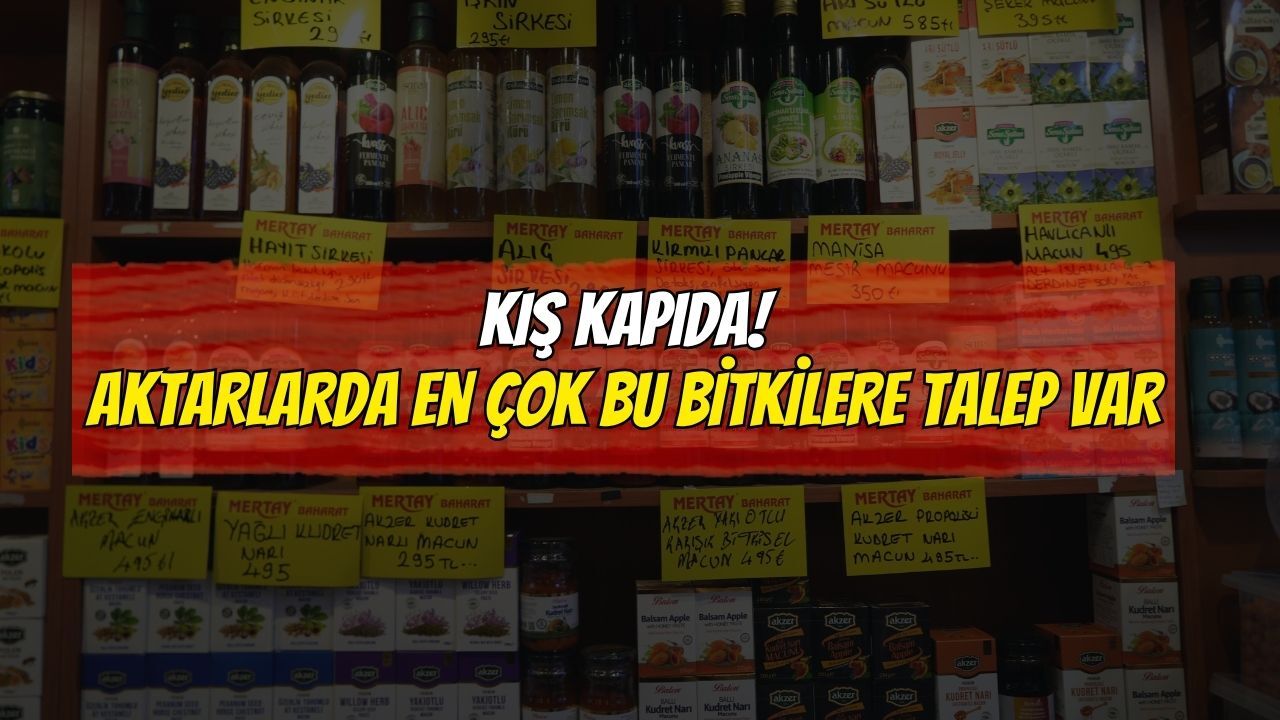 Kış kapıda! Aktarlarda en çok bu bitkilere talep var