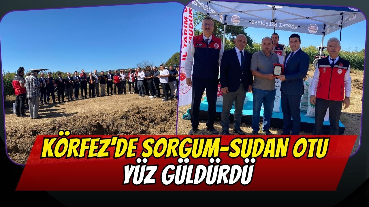 Körfez'de Sorgum-Sudan Otu Yüz Güldürdü
