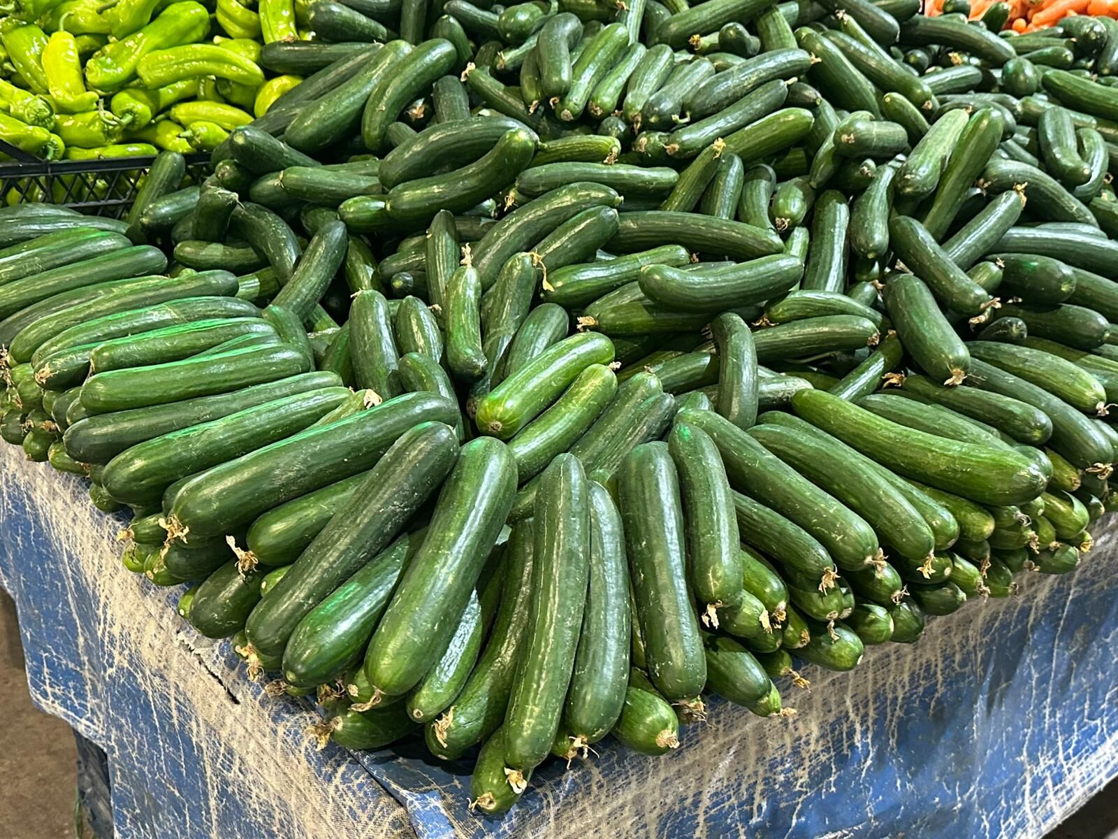 Salatalık