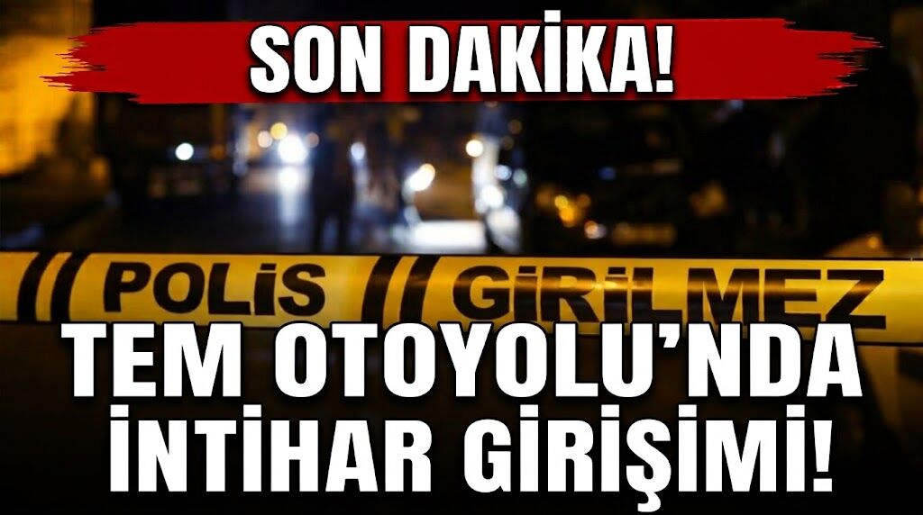 Son Dakika! TEM Otoyolu’ndaki köprüde intihar girişimi