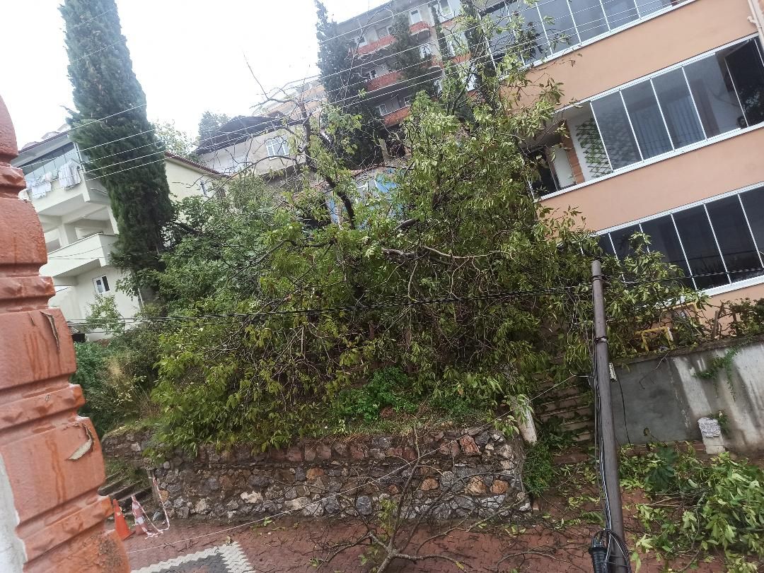 yenidopğan