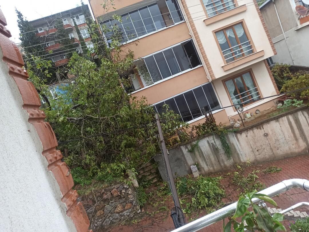 yenidoğan