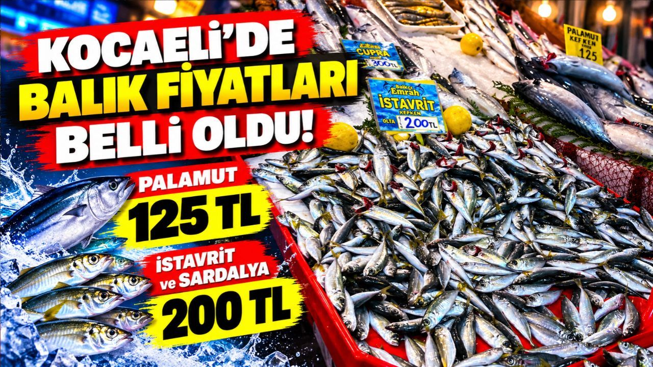 Kocaeli'de balık fiyatları belli oldu! Palamut 125 TL, istavrit 200 TL