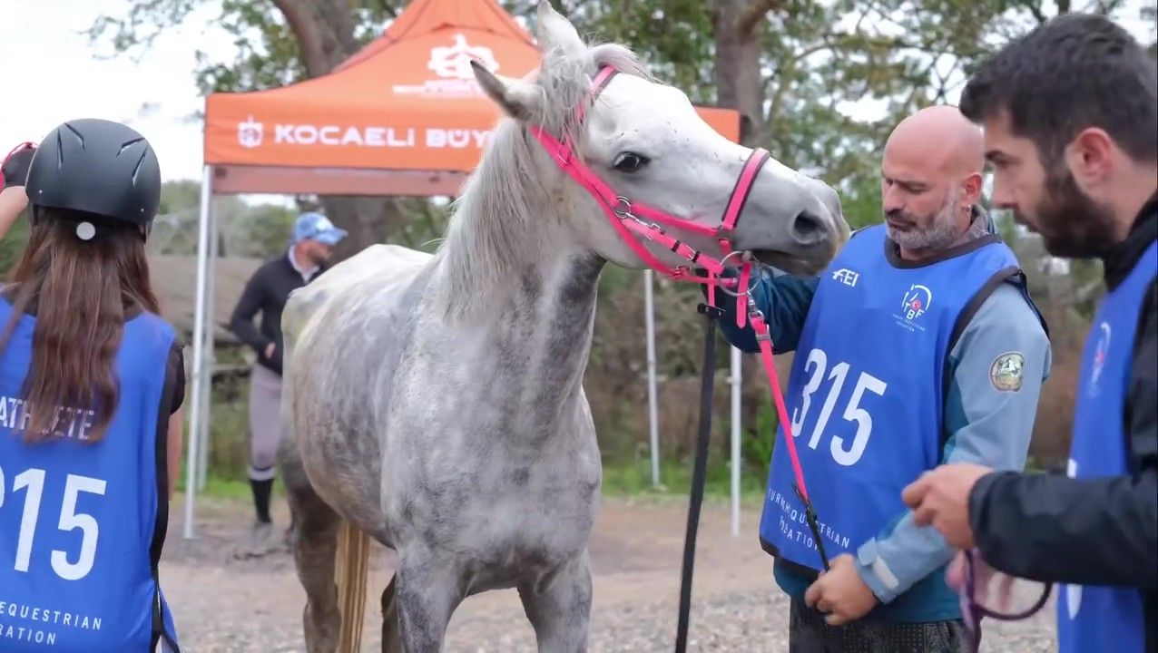kocaeli-buyuksehir-belediyesi-atli-dayaniklilik-yarislari-parkur-1